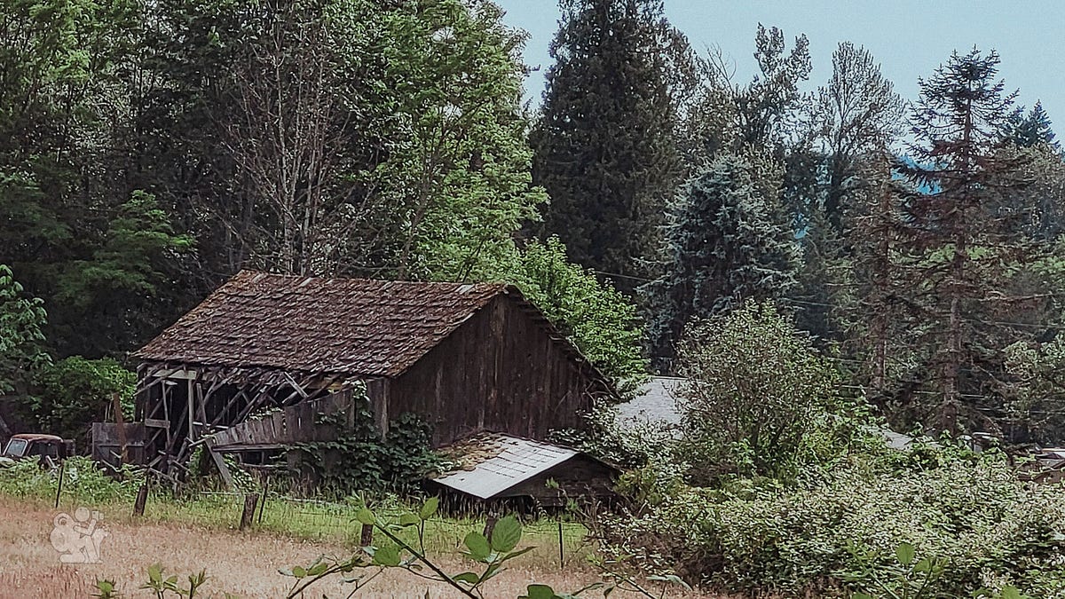 A picture containing outdoor, tree, plant, abandoned building A picture containing outdoor, tree, plant, abandoned building