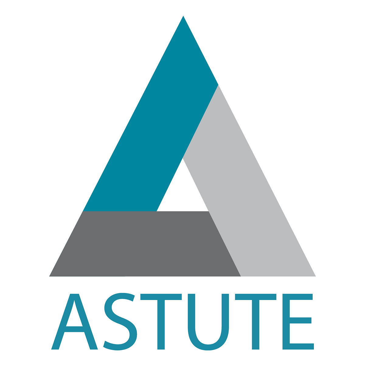 Astute Insights - Medium