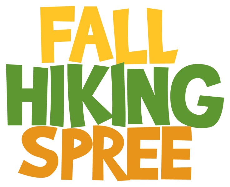 Akron Sisters Find Inspiration Stress Relief During Fall Hiking Spree