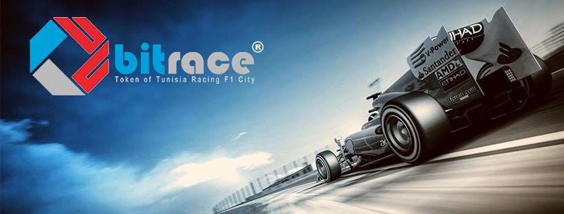 Image result for bitrace ico \