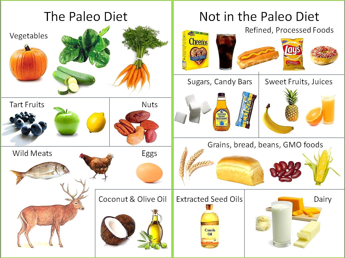 What Foods Can I Eat on Paleo pics What Foods Can I Eat on Paleo pictures