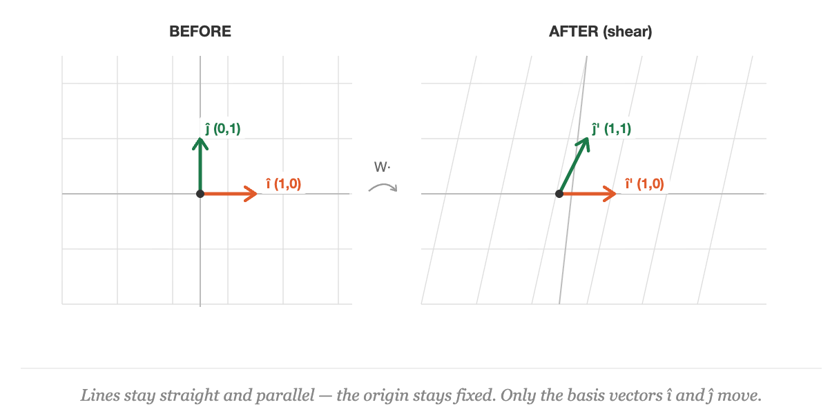 The Math That Powers Every AI You’ve Ever Used