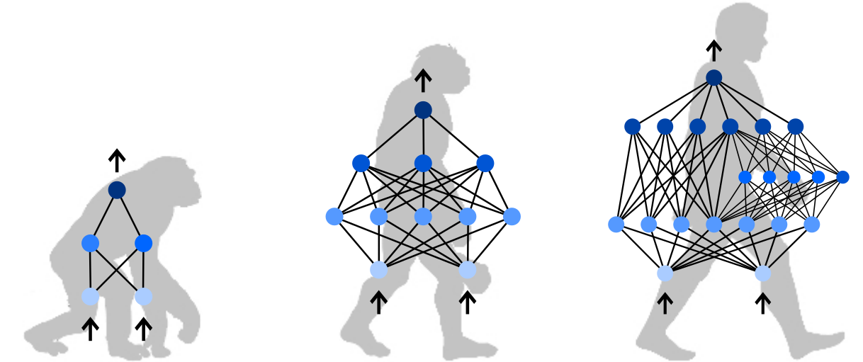 Exploring Neuroevolution with Plasticity and Topology-Aware Pruning Enhanced by Conformal…