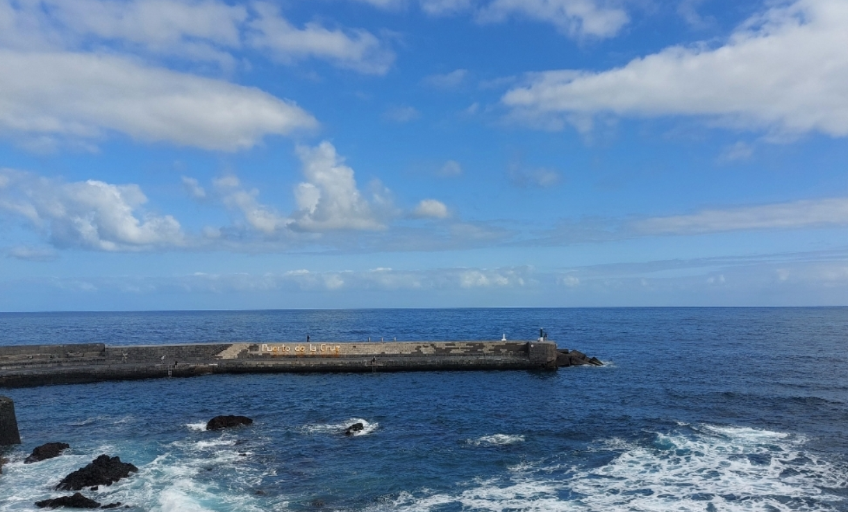 Tenerife Uncovered: The Magnificent Loro Parque