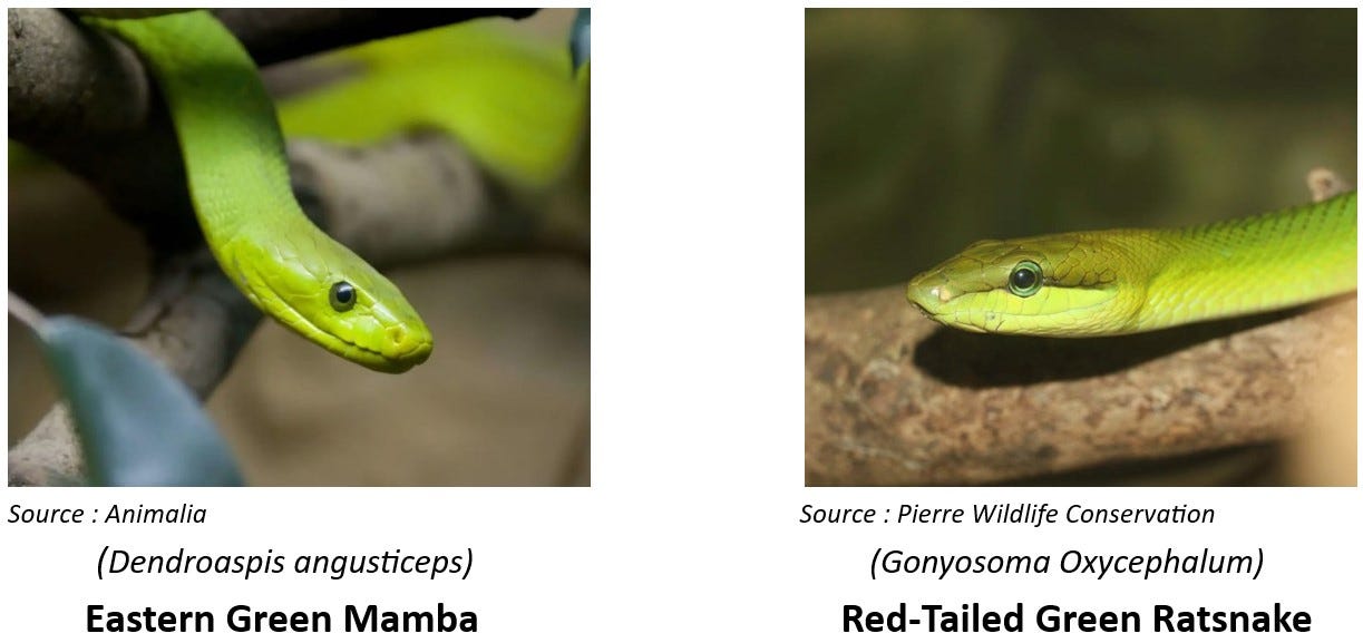 GIS on Medium - The Cost of Being Spatially Agnostic in Wildlife AI