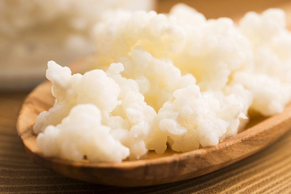 Kefir Taneleri Nasıl Saklanır Kefir Taneleri Nasıl Saklanır