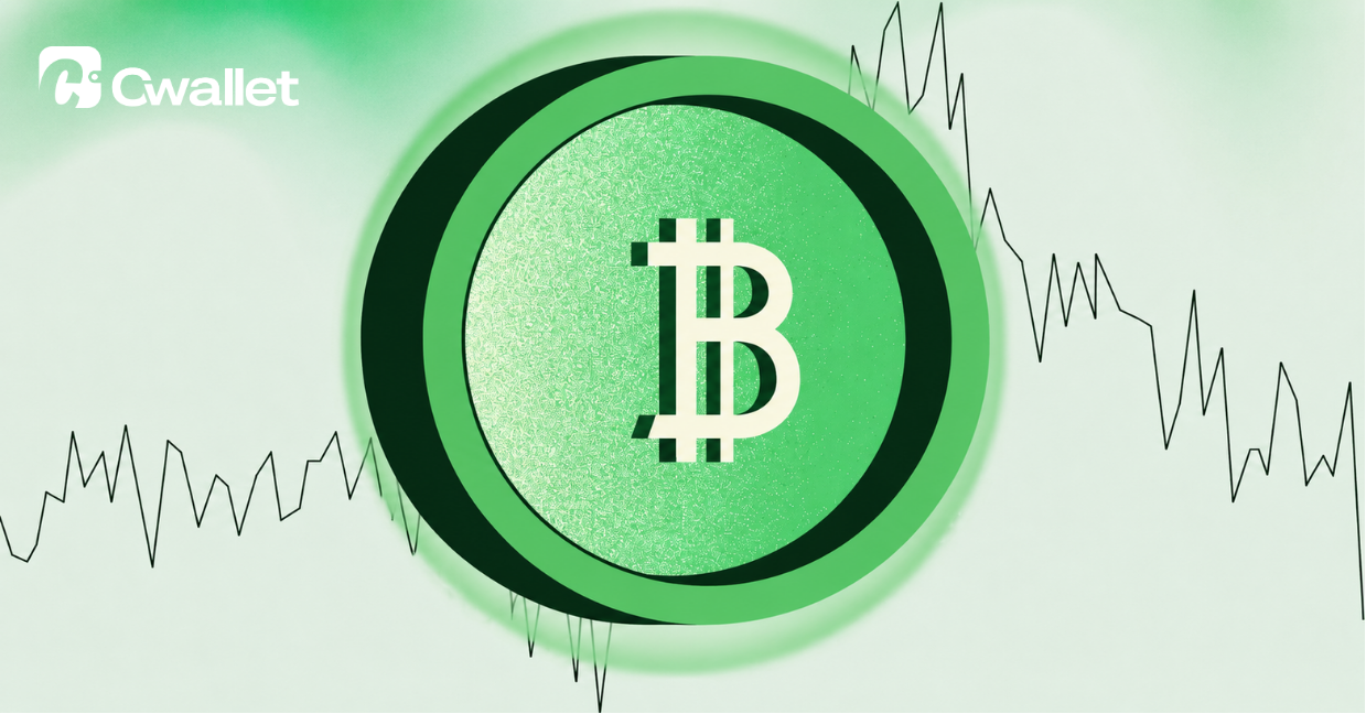 Everyone Thinks Bitcoin Is Entering a New Bull Cycle — But the Data Doesn’t Agree