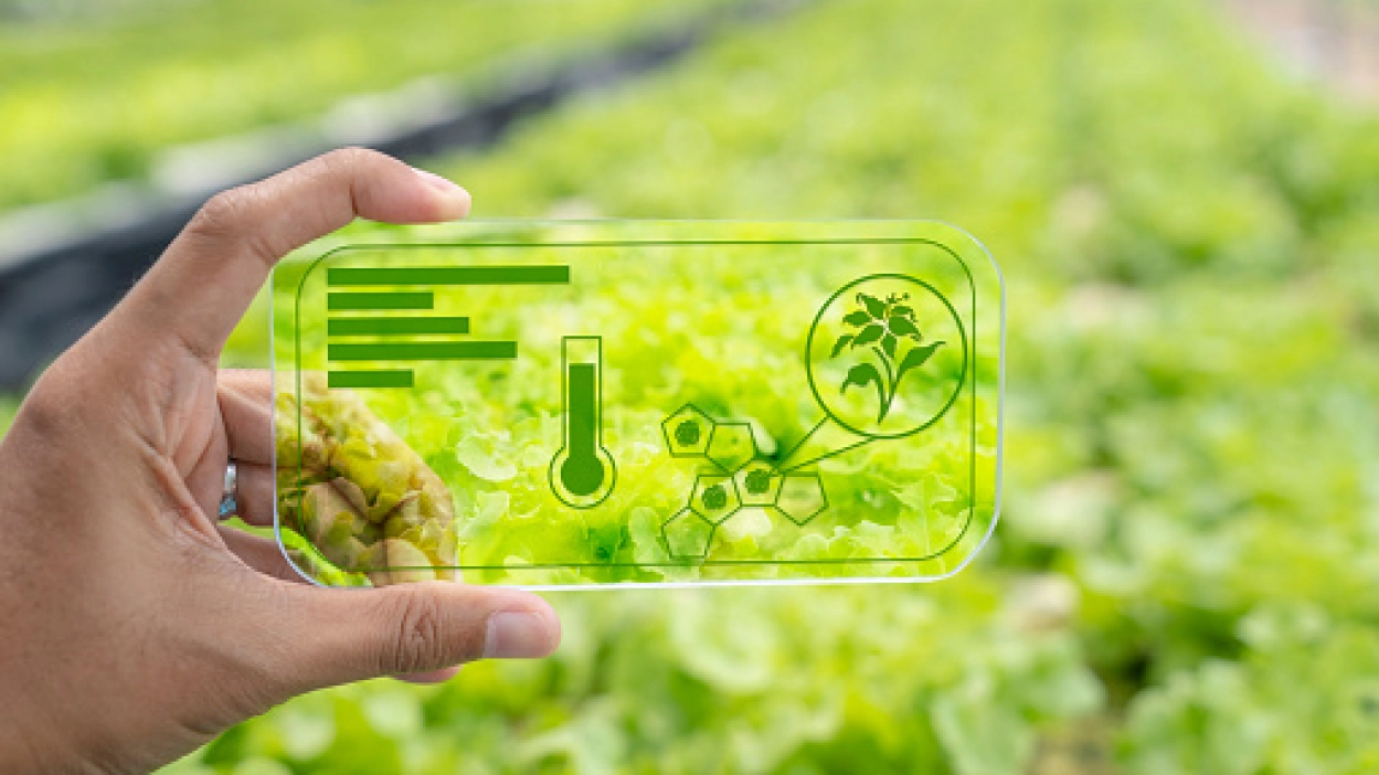Harvesting Tomorrow: The IoT Frontier in Agriculture