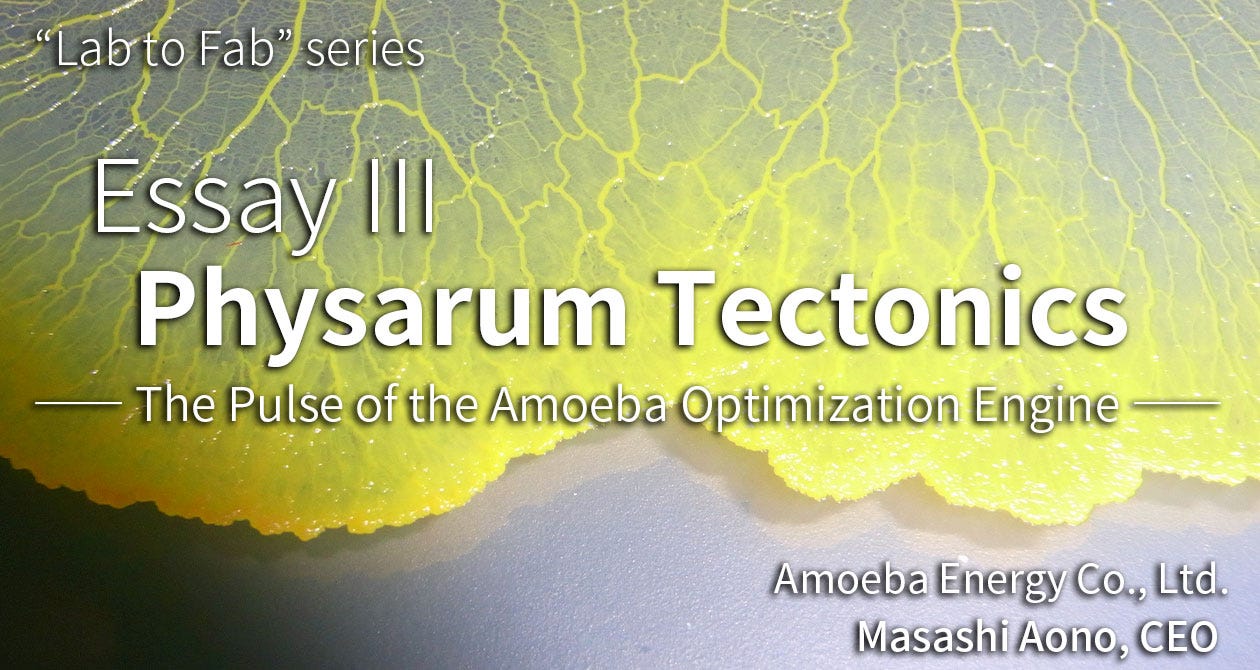 Physarum Tectonics — The pulse of the Amoeba Optimization Engine