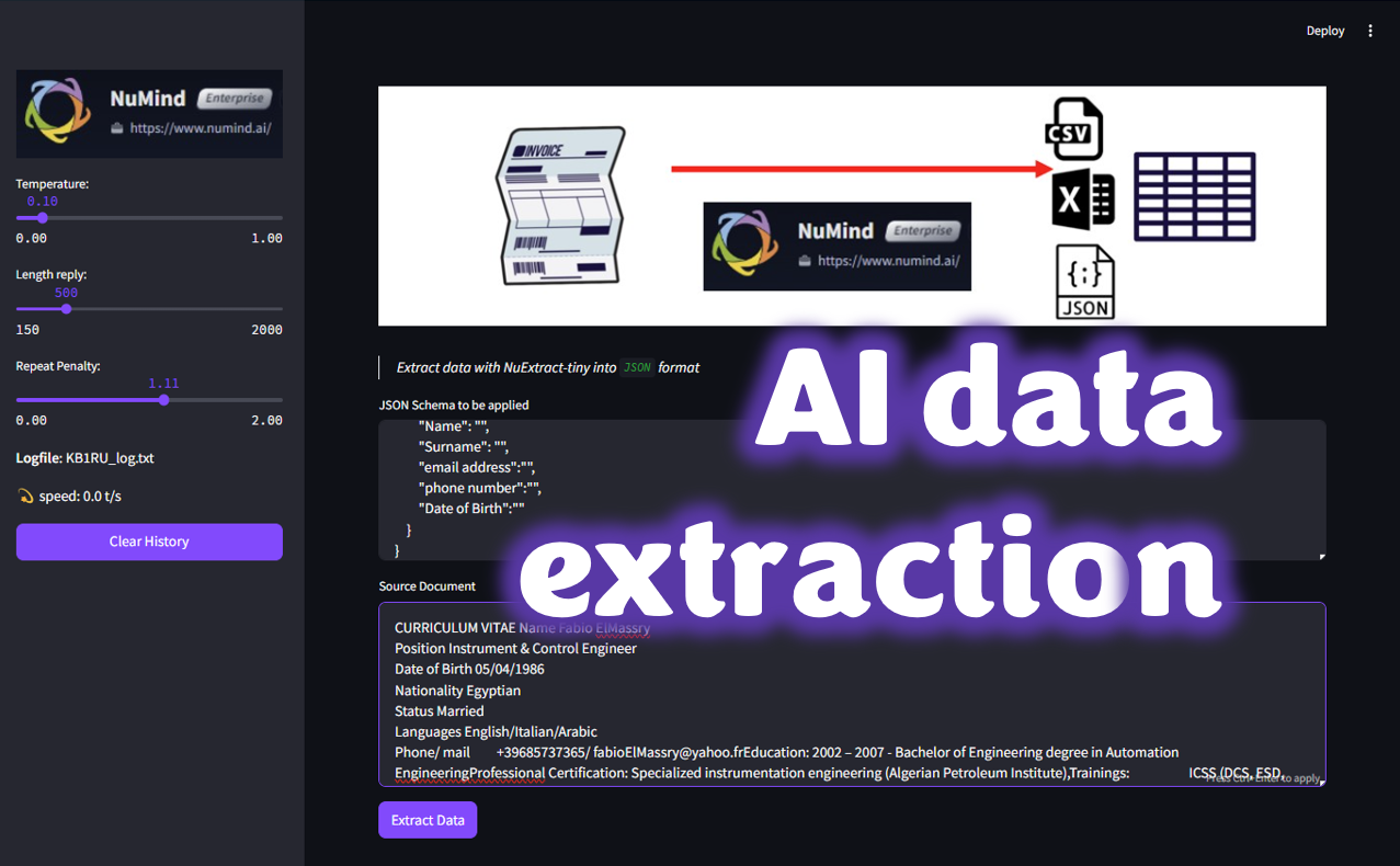 The Tiny JSONist — meet AI NuExtract
