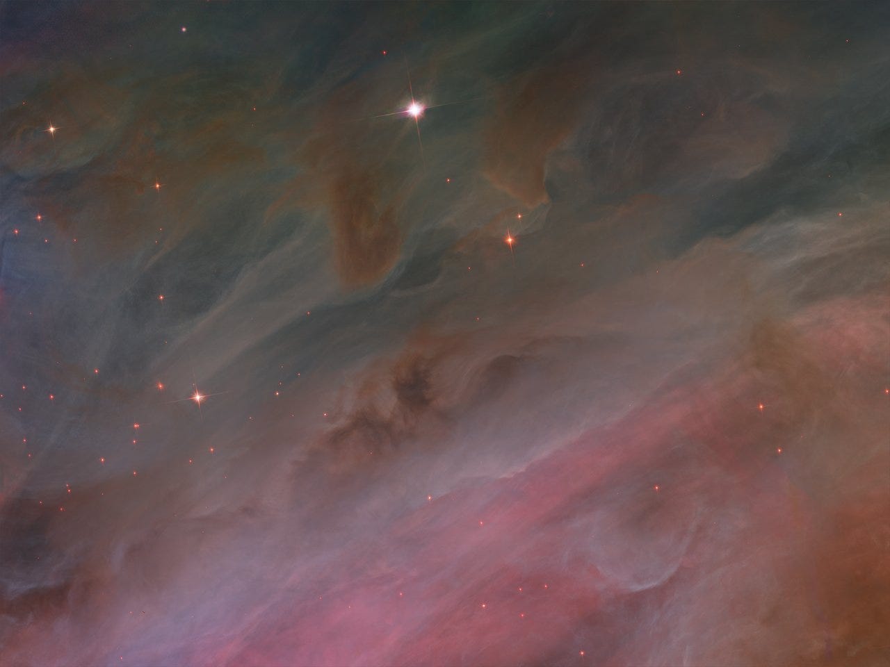 What Are So Many Rogue Planets Doing in the Heart Of Orion-