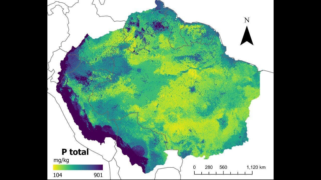 AI-Driven Maps Validate Low Phosphorus Levels in Amazonian Soil