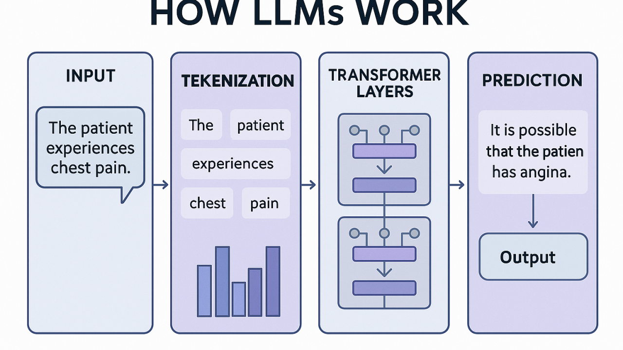 What is an LLM? (And Should You Be Scared of It ? )