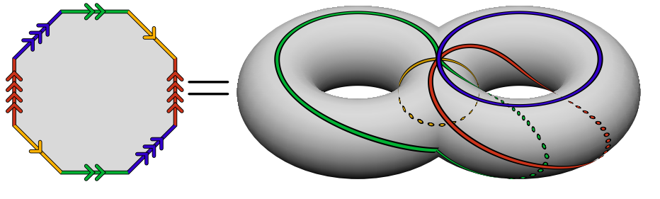 Cutting a double torus along loops yields an octagon.