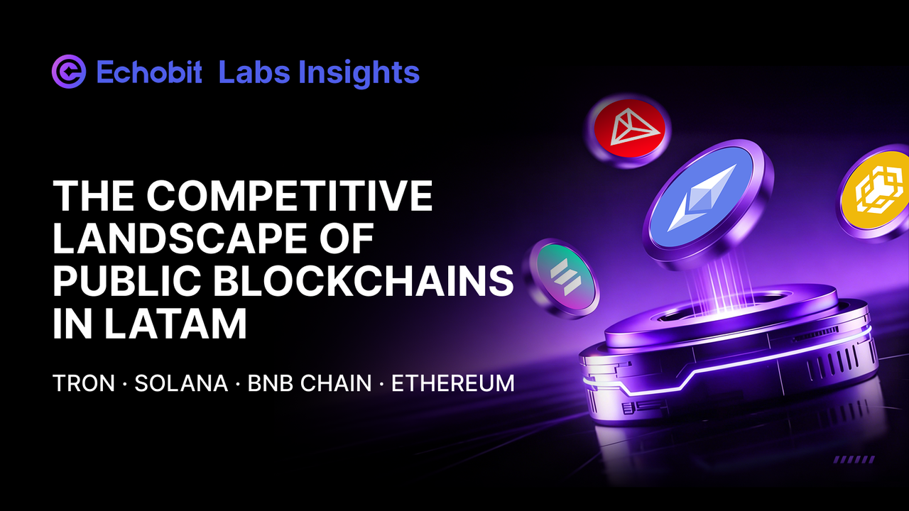 Echobit Labs | The Competitive Landscape of Public Blockchains in Latin America: The Battle for…