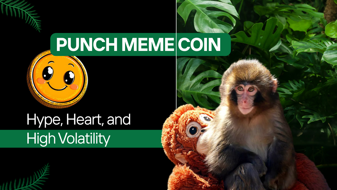The Punch Meme Coin Rally: Hype, Heart, and High Volatility