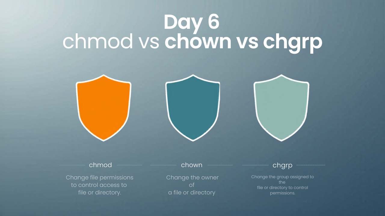 Day 6: chmod vs chown vs chgrp Explained in Simple English