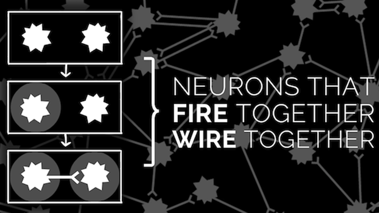 IBM Uses this Famous Principle of Neuroscience to Build Better Neural Networks