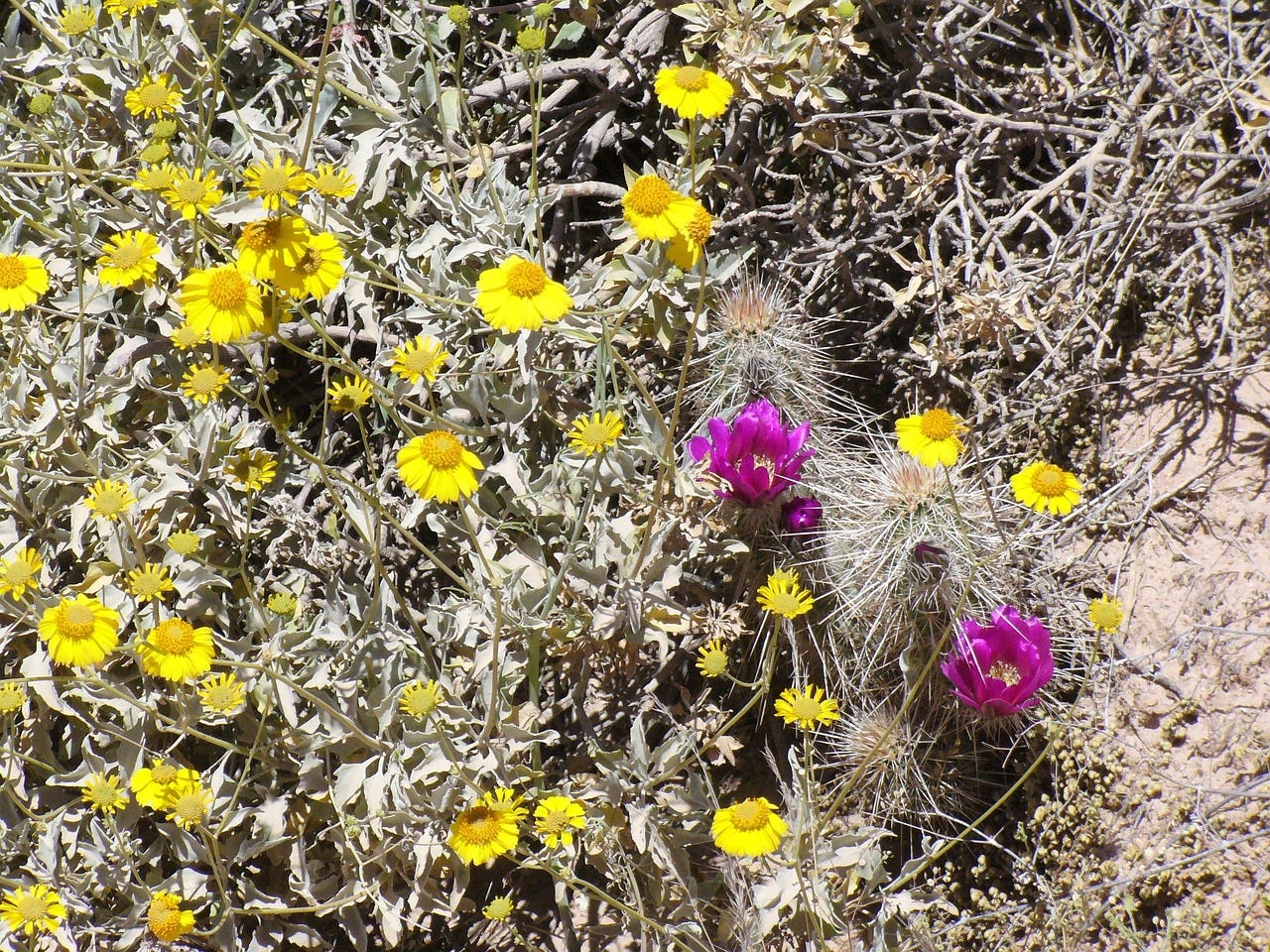 Still life teeming with vitality