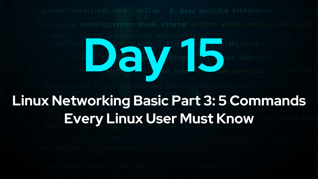 Linux Networking Basic Part 3: 5 Commands Every Linux User Must Know