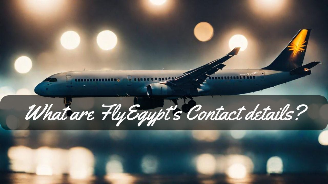 What are FlyEgypts Contact details-