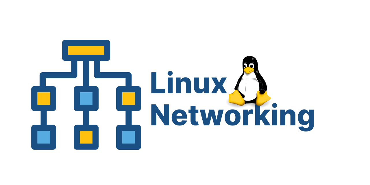 Day 9 of My Cloud Engineering Journey: Learning Networking Basics and DNS