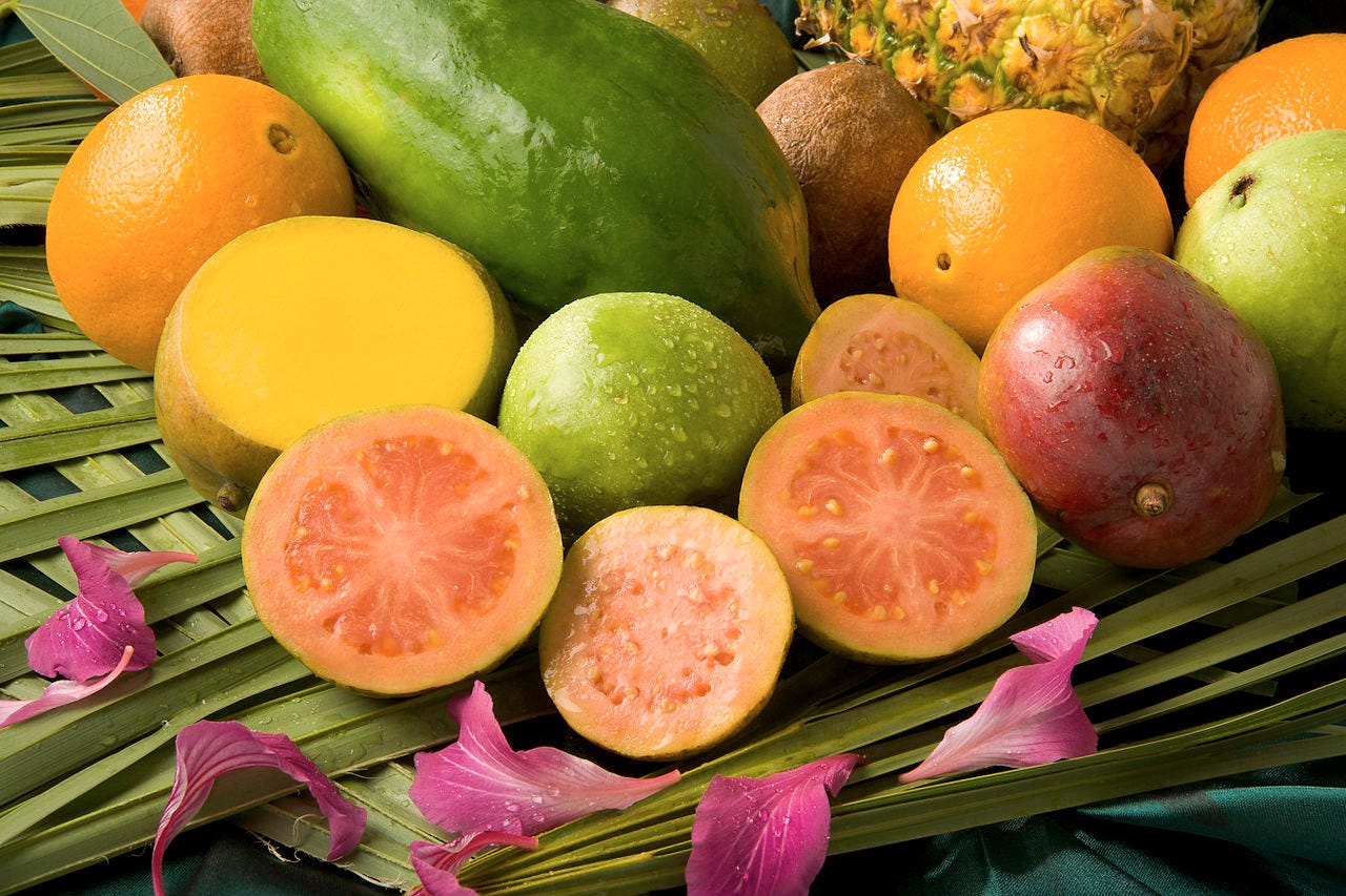 Java Developers Have A Guava On Google Ali Muzaffar Medium Any Developer Who Has Developed For A Google Product Using Java Knows That Bundles In Lot Of Api And Libraries Solves Common Problem Or Makes