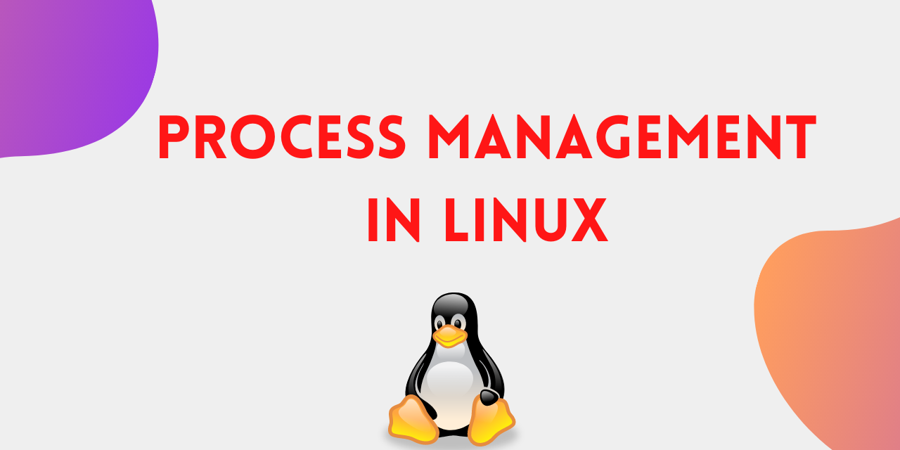 Unraveling the Power of Linux: Most Common and Most Used Commands for Processes