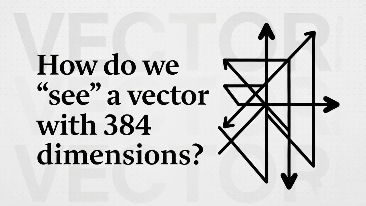 How do we “see” a vector with 384 dimensions?