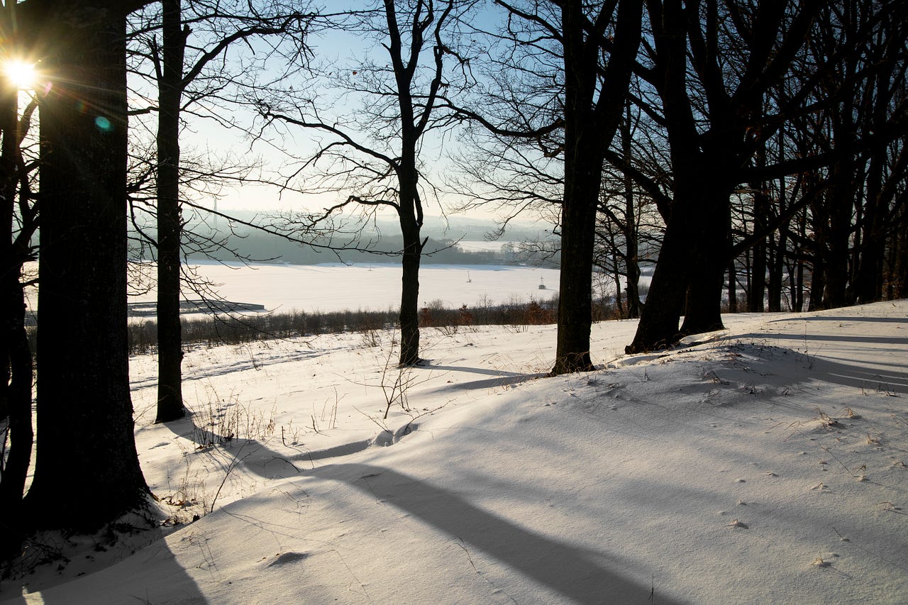 Sunlight streaming through snow-covered trees overlooking a serene winter landscape, symbolizing hope and tranquility during the colder months. Perfect imagery for discussing seasonal affective disorder (SAD) and how to find light in the midst of seasonal changes.