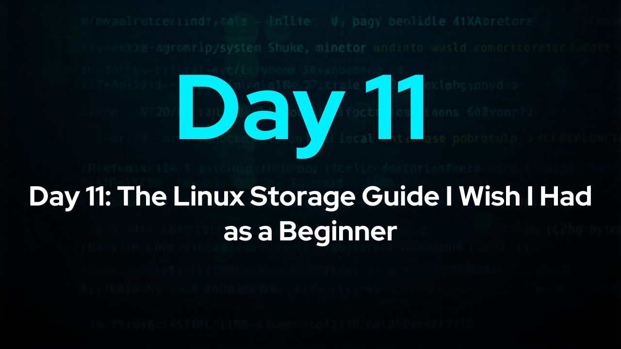 Day 11: The Linux Storage Guide I Wish I Had as a Beginner