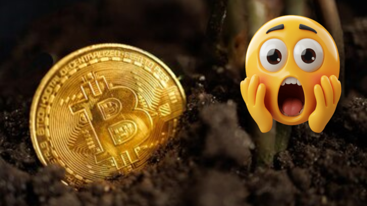 Crypto Is Dead!