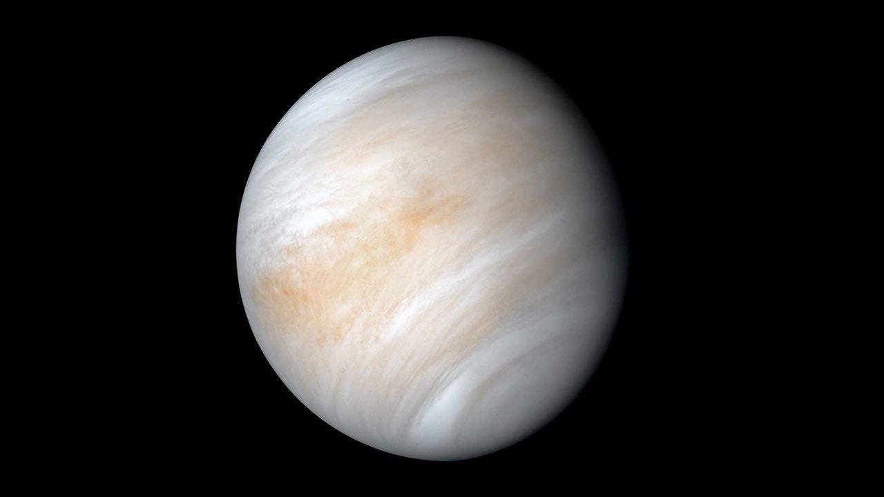 The Scientist Searching for Life on Venus