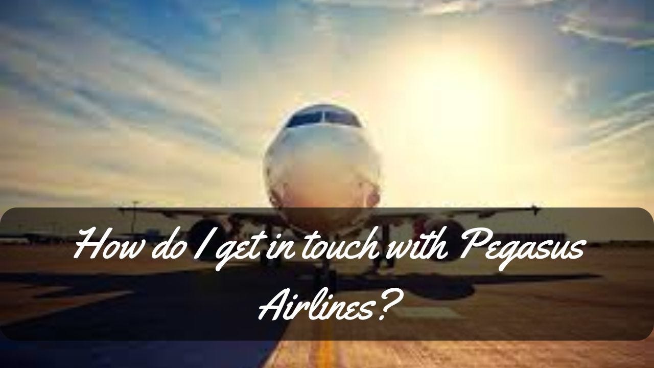 How do I get in touch with Pegasus Airlines-