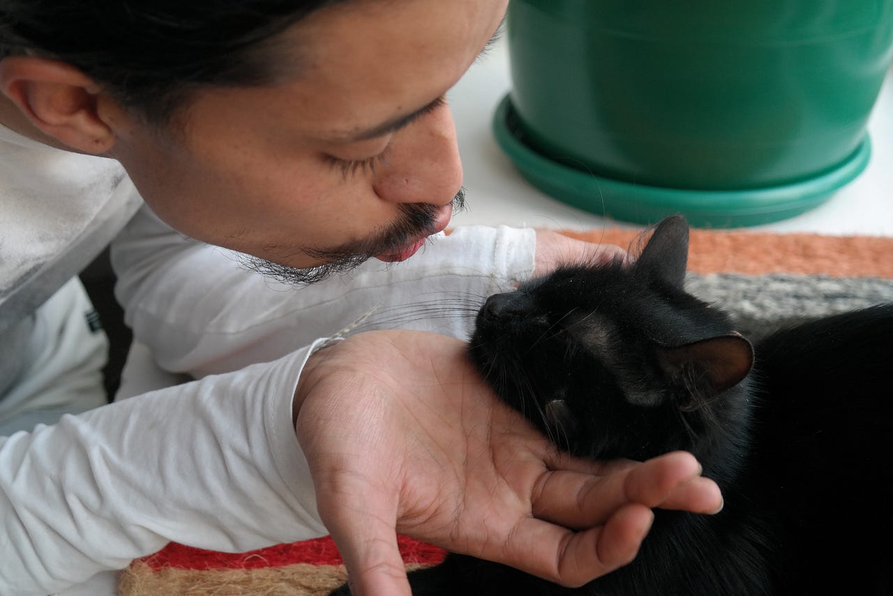 man giving black cat a kiss