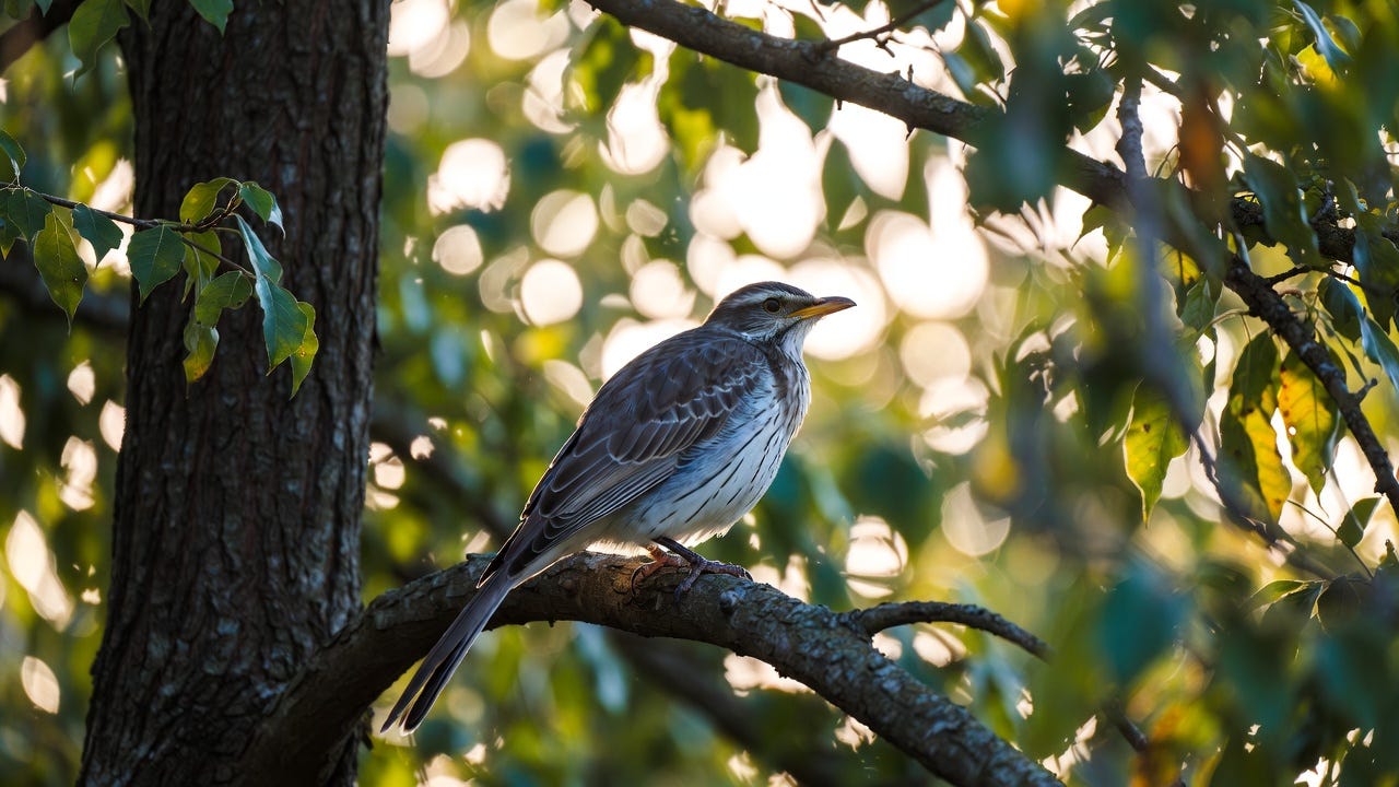 From Birds Chirping to 3AM Nausea — A Trading Journey Towards Profitability
