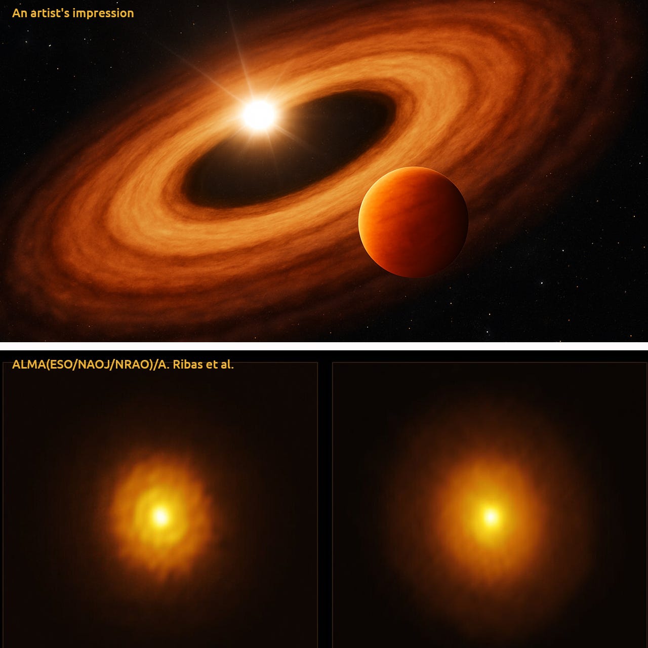 Gaia Spots Wobble ALMA Confirms: Forming Exoplanet Found Around MP Mus
