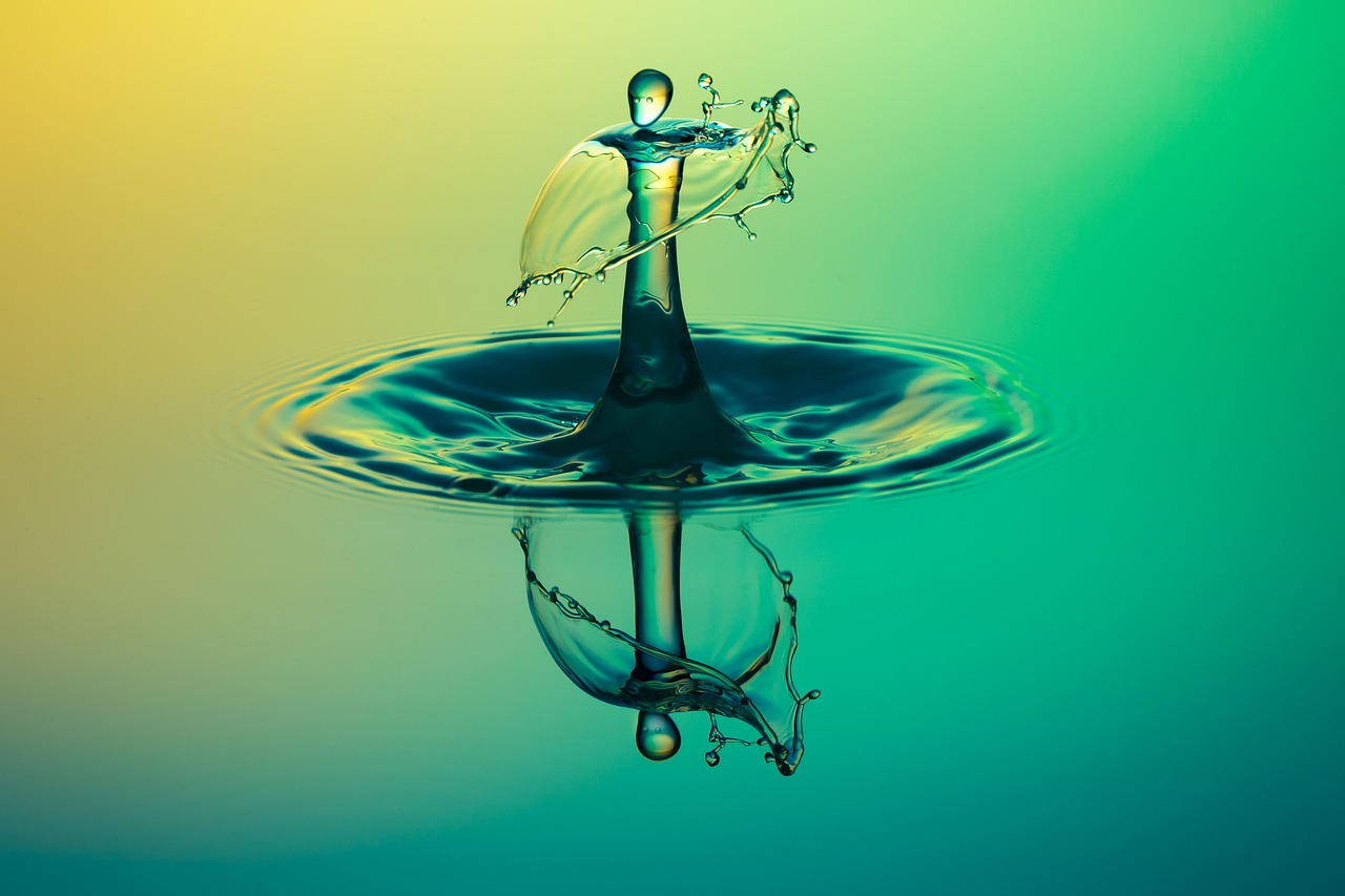 Smart Digital Water Management and Managing Customers of the Future