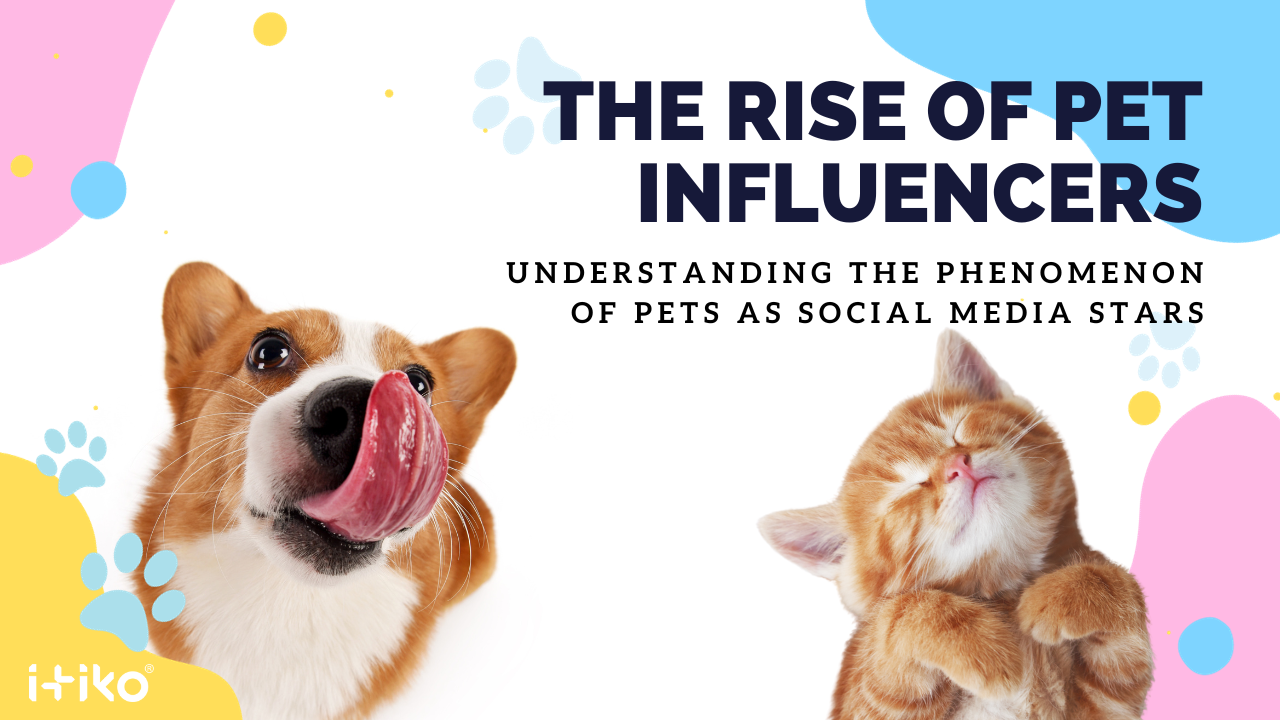 The Rise of Pet Influencers: Understanding the Phenomenon of Pets as Social Media Stars