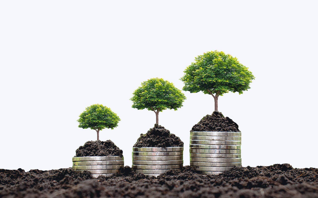 The Distribution Growth Game
