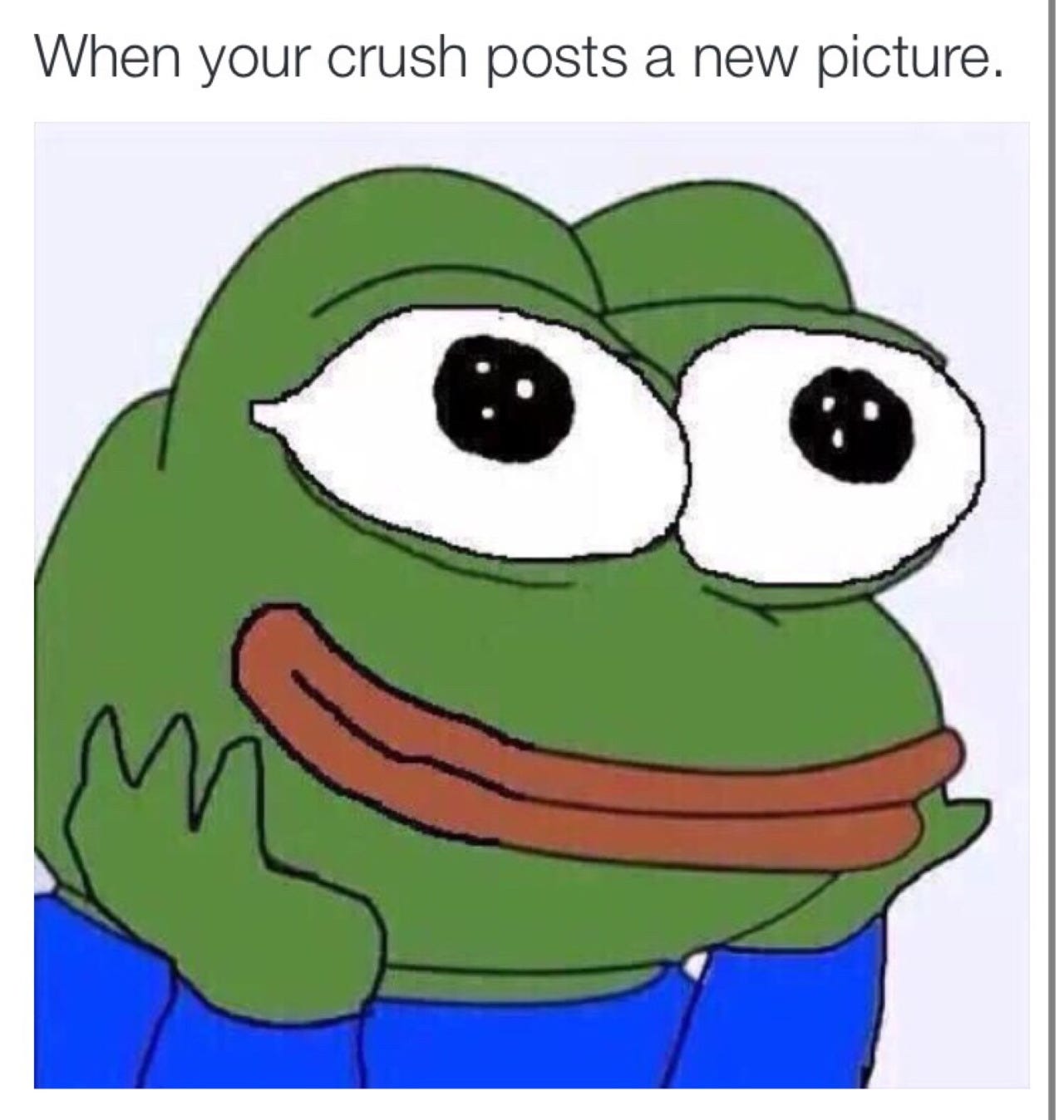 Frog Face Meme