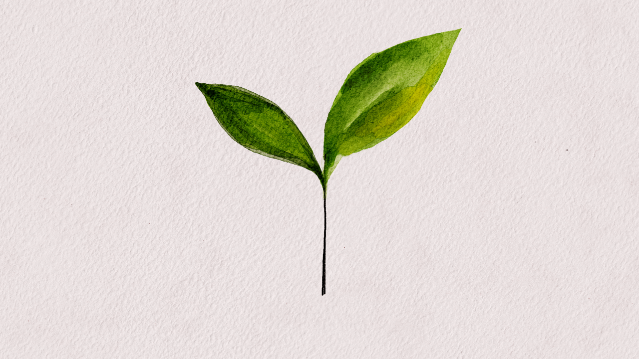 The Hidden Carbon Cost of UX (& AI)