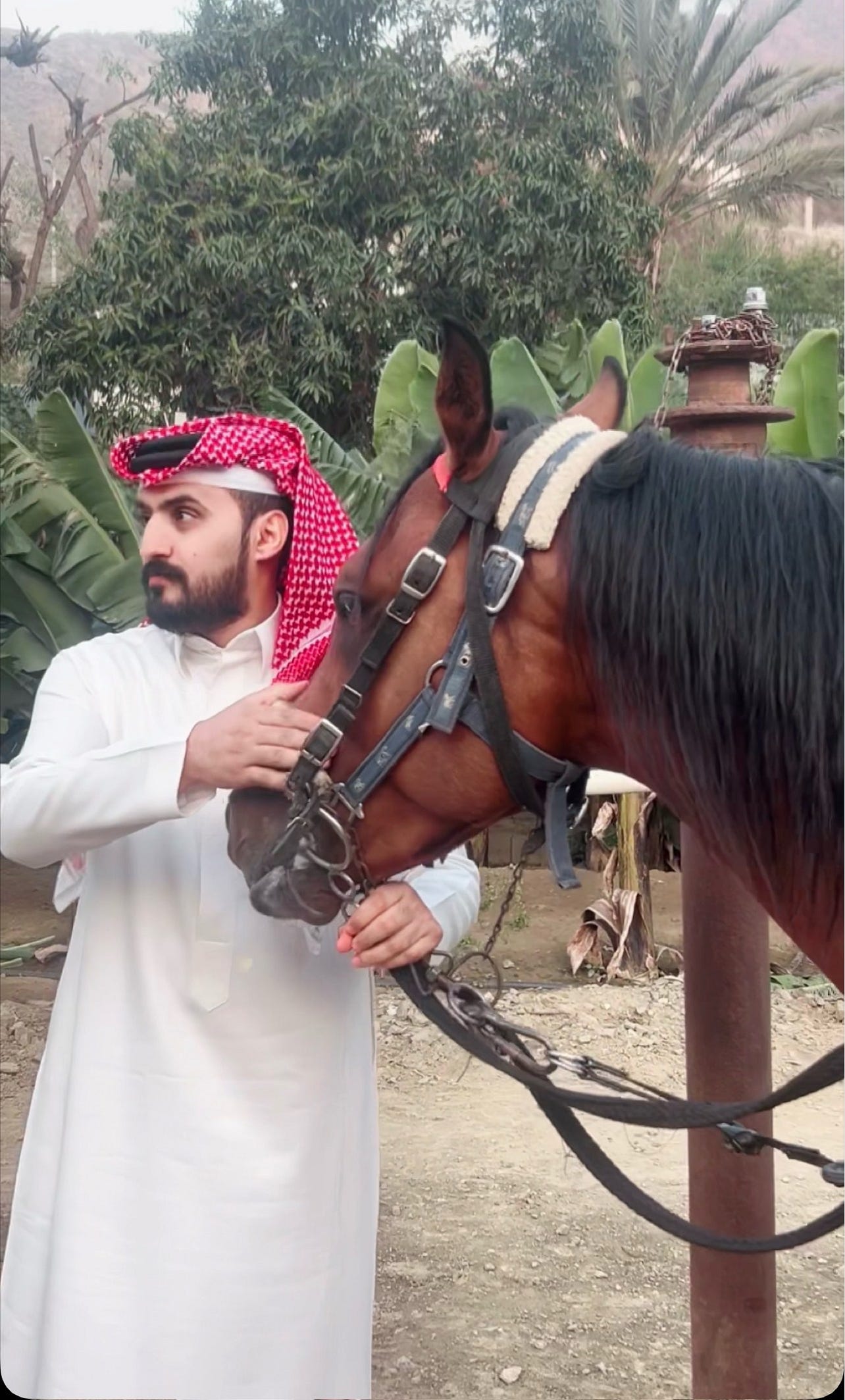 كيف يصنع ابوبتال الحياني الفرح من أبسط التفاصيل اليومية؟