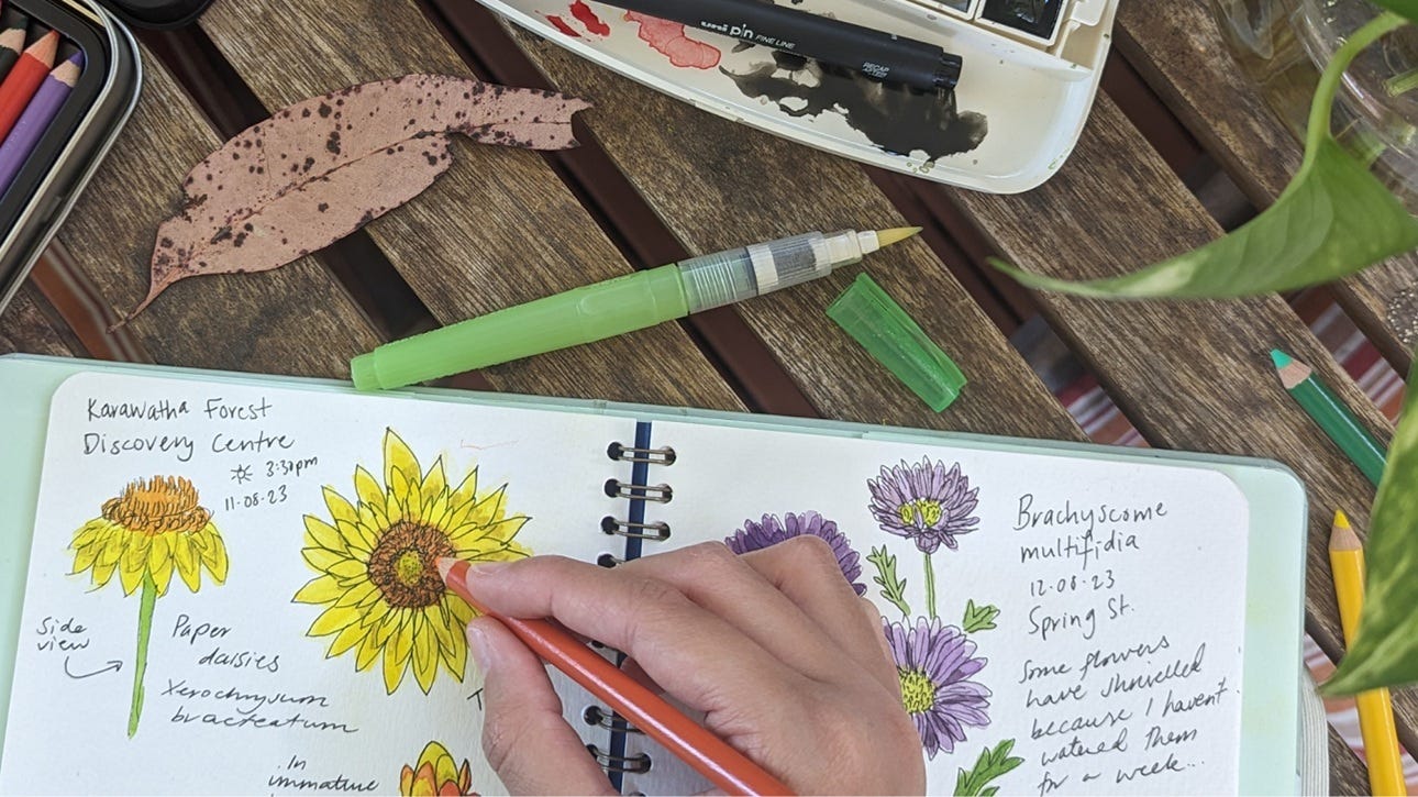 Earth Observation on Medium - Nature Journaling: The Art of Seeing