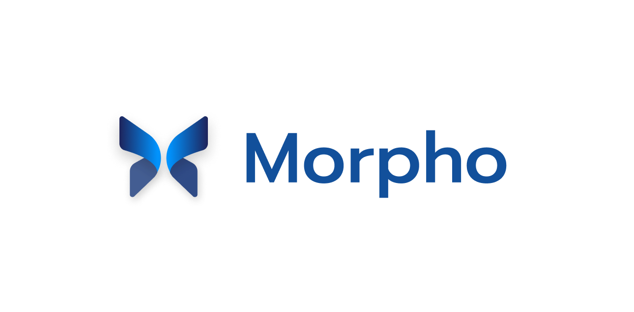 How to Build a Borrow Position on Morpho Protocol Using TypeScript and Viem