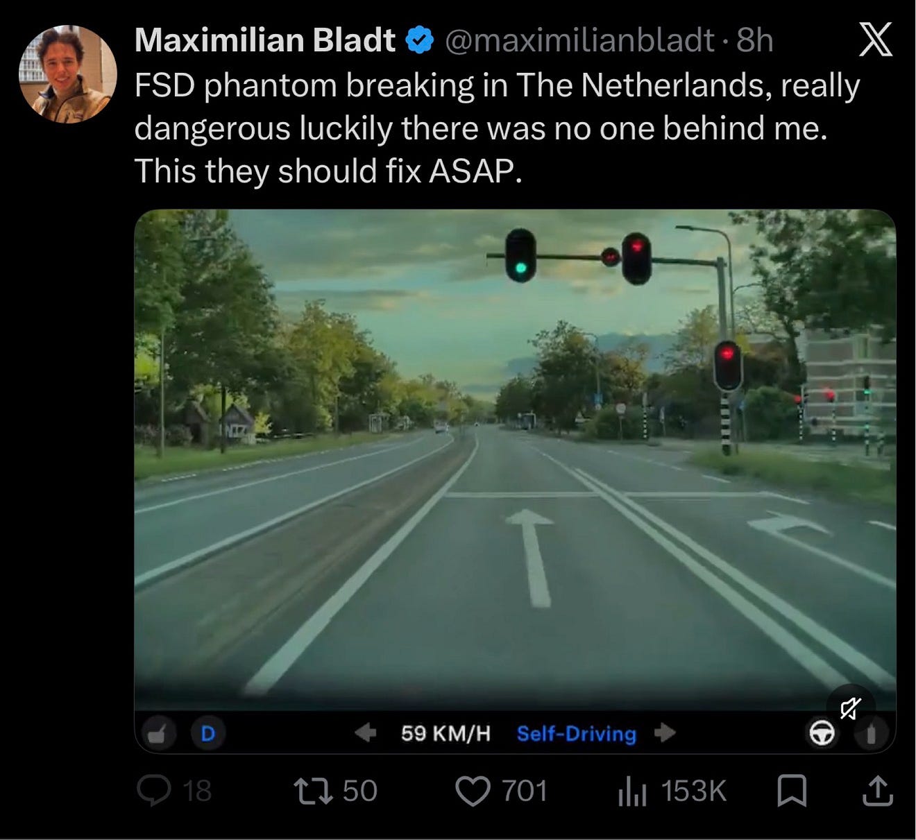 Dutch Tesla owner wonders why he experienced ‘phantom breaking’