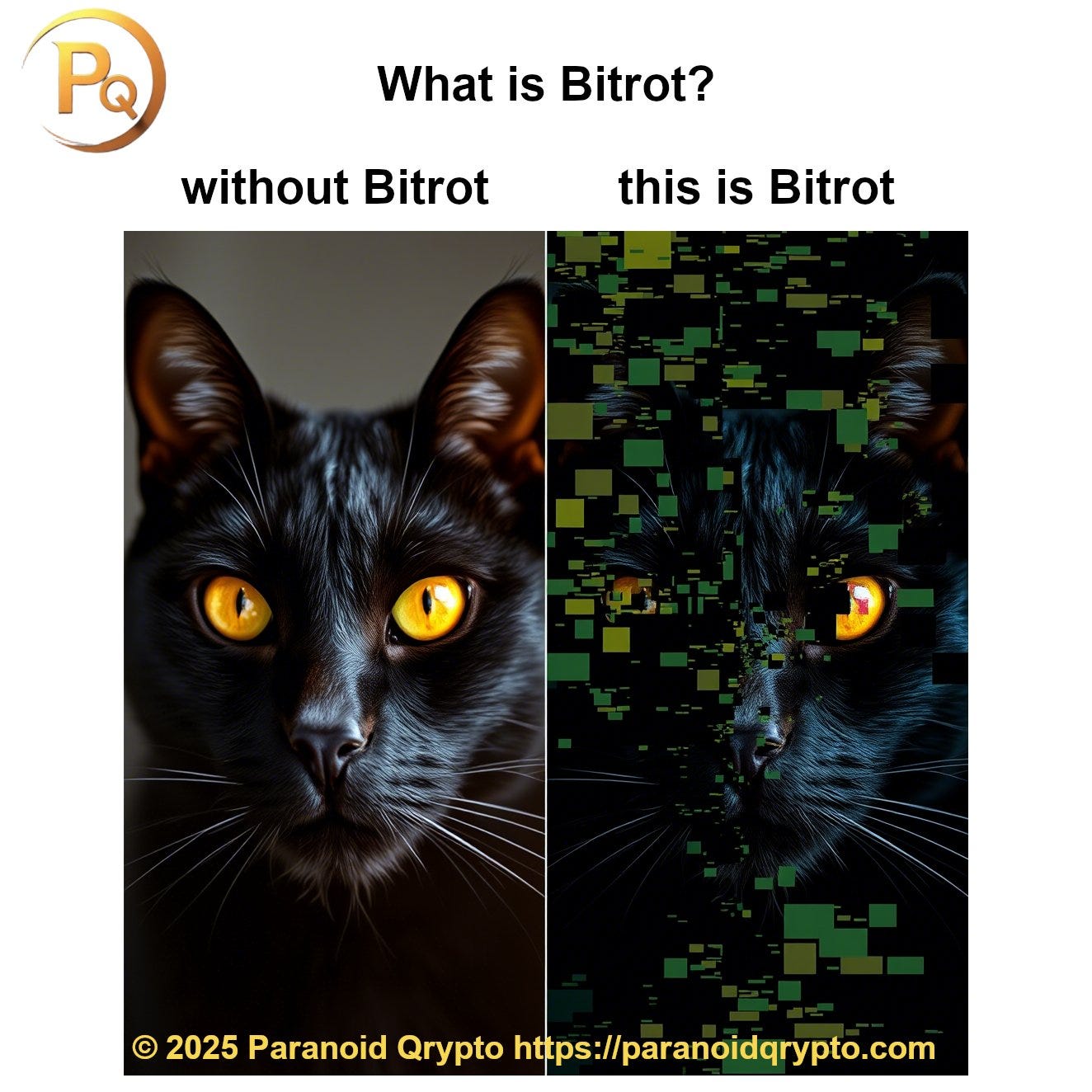 The Complete Guide to Bit Rot: Protect Your Data, Secure Your Keys