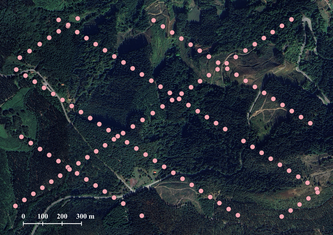 Earth Observation on Medium - Mapping Forest Height with Lasers from Space