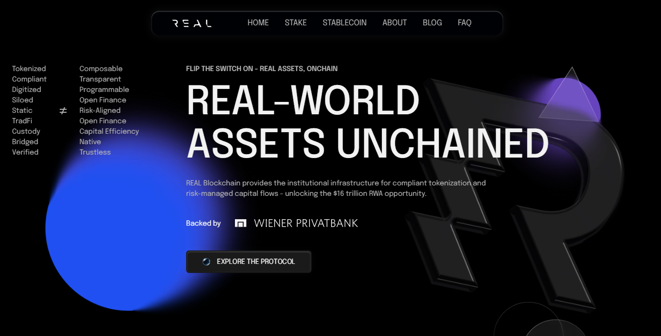Who Can Utilize the REAL L1 Blockchain?