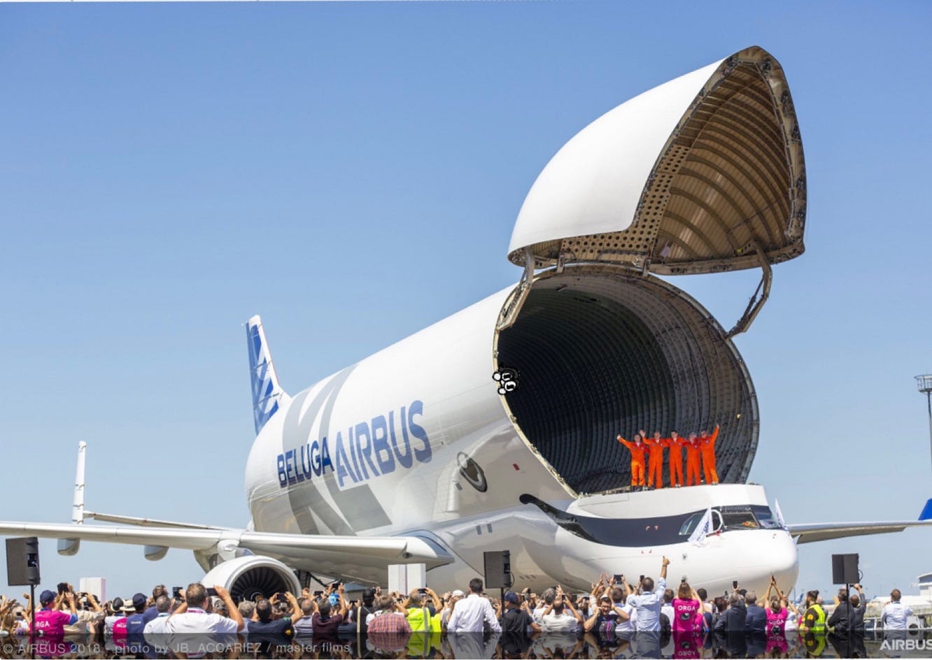5 Planes Named After Fish